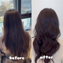 서인공원 | 청주 송절동 서인쌤 플럼브라운 염색 후기 ‘리븐헤어 청주본점’