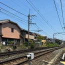 (주)서정팜 | 2일차 다이어트 교토 여행