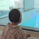 스테이 세모정원 이미지