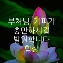 출가인능해스님 이미지