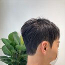야당역미용실 선택 시 디자이너 전문성과 트렌드 반영 수준 분석