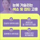 고은미의원 네이버블로그