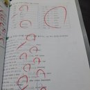 고명초등학교 이미지