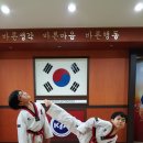 경희대진명태권도장