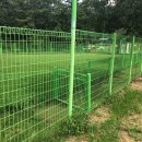 대구애견스쿨 이미지