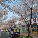 [대구간판] 순수김밥 포인트 간판, 안개 시트지 및 메뉴판 제작 시공 후기