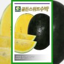골든파머