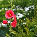 영주 신암리 마애여래삼존상 이미지