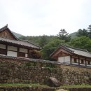 곡성 Daum카페
