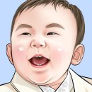 코코81