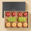 샤인벨리 이미지