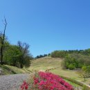 입점리_고분전시관 이미지