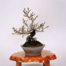 은혜동산 이미지