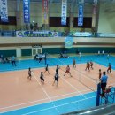 둔포초등학교 이미지