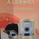 에스테1634