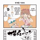키라리 이미지