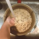 잡곡밥, 절대로 “이렇게” 먹지 마세요 간암 발생률이 60배나 이미지