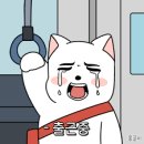 오늘웨딩컨설팅 | 압구정 몽프레종 웨딩컨설팅 내돈내산 후기