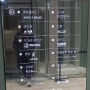 고디바아모레 이미지