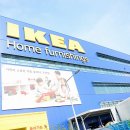 붐미디어 이미지