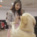 슈슈 이미지
