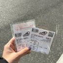 도구로5길 14 | 여자프로농구, 청주 KB스타즈 홈 개막전 직관 (vs BNK ) 청주체육관 - 2연승! 리그 1위