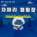 자파리 | 제주 시내 오토캠핑장 추천｜공항 가까운 '자파리캠핑장' 솔직 이용 후기 (+애견동반 가능)