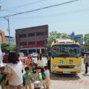 풍기토종인삼시장 이미지