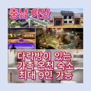호스텔 아르띠에 도고 | 아르띠에 도고 ｜아산 스파비스 온천 숙소 추천