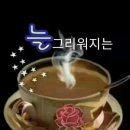 돌담이 이미지