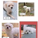 흥선역 Daum카페
