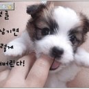 해명주유소 이미지