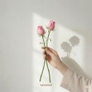 세븐일레븐 구미인의행복점 | 구미 부케말리기 친구인 부케순이, 신부에게 다시 전하는 선물 플라워가든액자 도어벨 링홀더 제작 후기