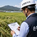 손해평가사 1차 - 농어업재해보험법령 및 손해평가요령 | 손해평가사란? 하는일·시험과목·합격률·연봉 전망 정리
