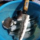 로하스펜션 이미지