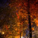 두류공원 이미지