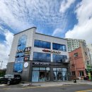 306 퍼피 이미지