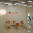 잘나가는 강아지 이미지