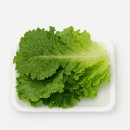 토스공동구매) 로메인 청상추, 1kg 3990원 무배 이미지
