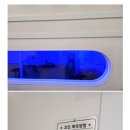 월드킹 이미지