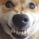 말랑말랑 이미지