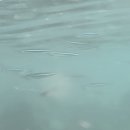 중문단지축구장 이미지
