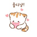 포토그레이구미