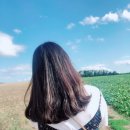 자매여인숙 | [파리여행/ 5박7일] 자매여행/ 고흐마을, 오베르 쉬르 우아즈 :)