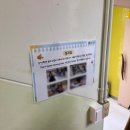 서울영훈초등학교 | 2026년(19년생) 영훈초등학교 입학설명회 후기