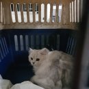 현촌1로 이미지