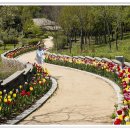 꽃길만걷자 이미지