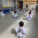 힘튼태권도 이미지