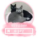 김삿갓수산 이미지