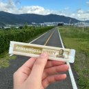 CU김해상동IC점 | 🏃집까지 뛰어서 퇴근하렵니다🏃(김해 상동~화명생태공원 14 km 낙동강 종주길)